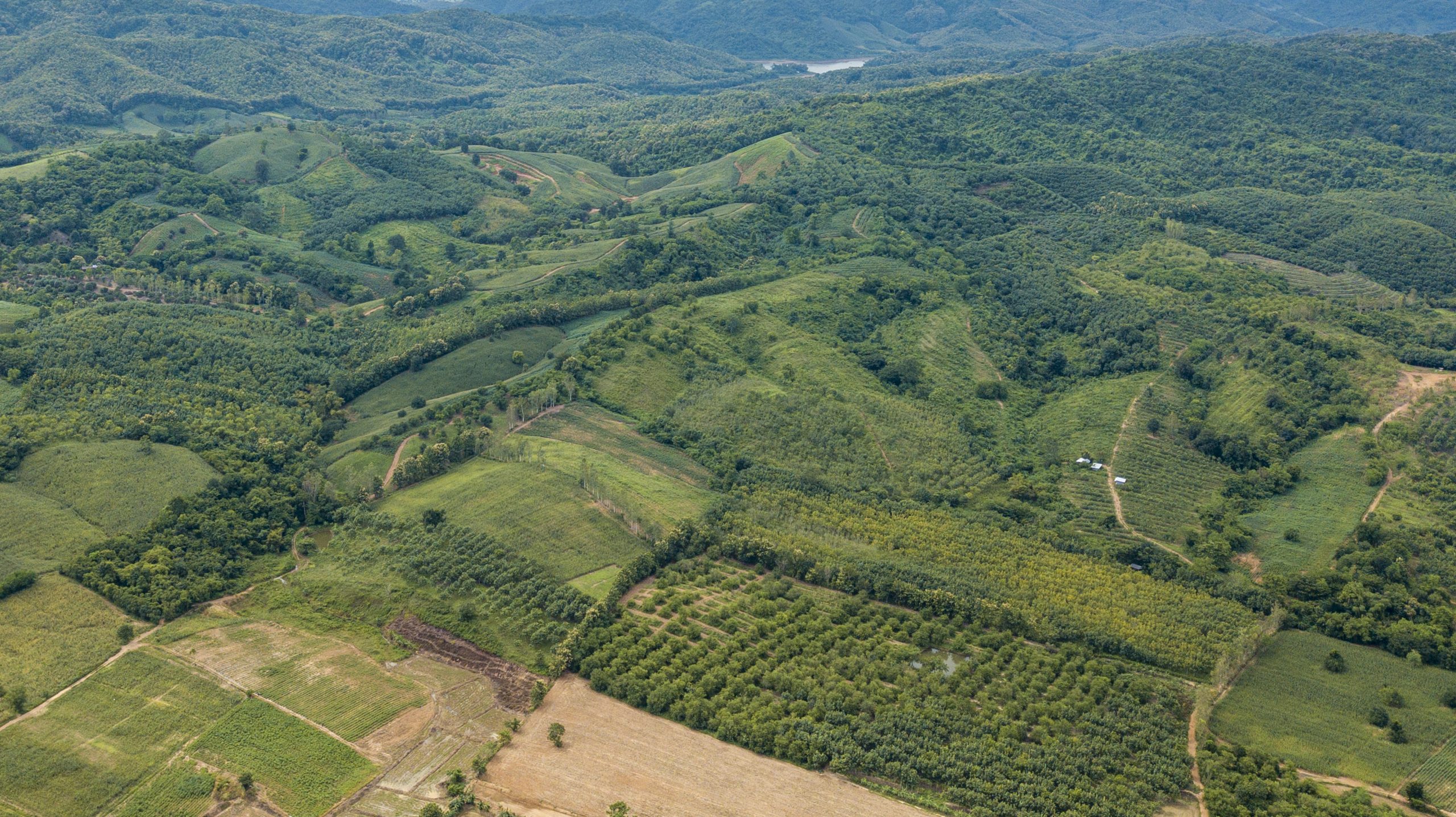 Quienes Somos 11 high angle view agricultural field scaled