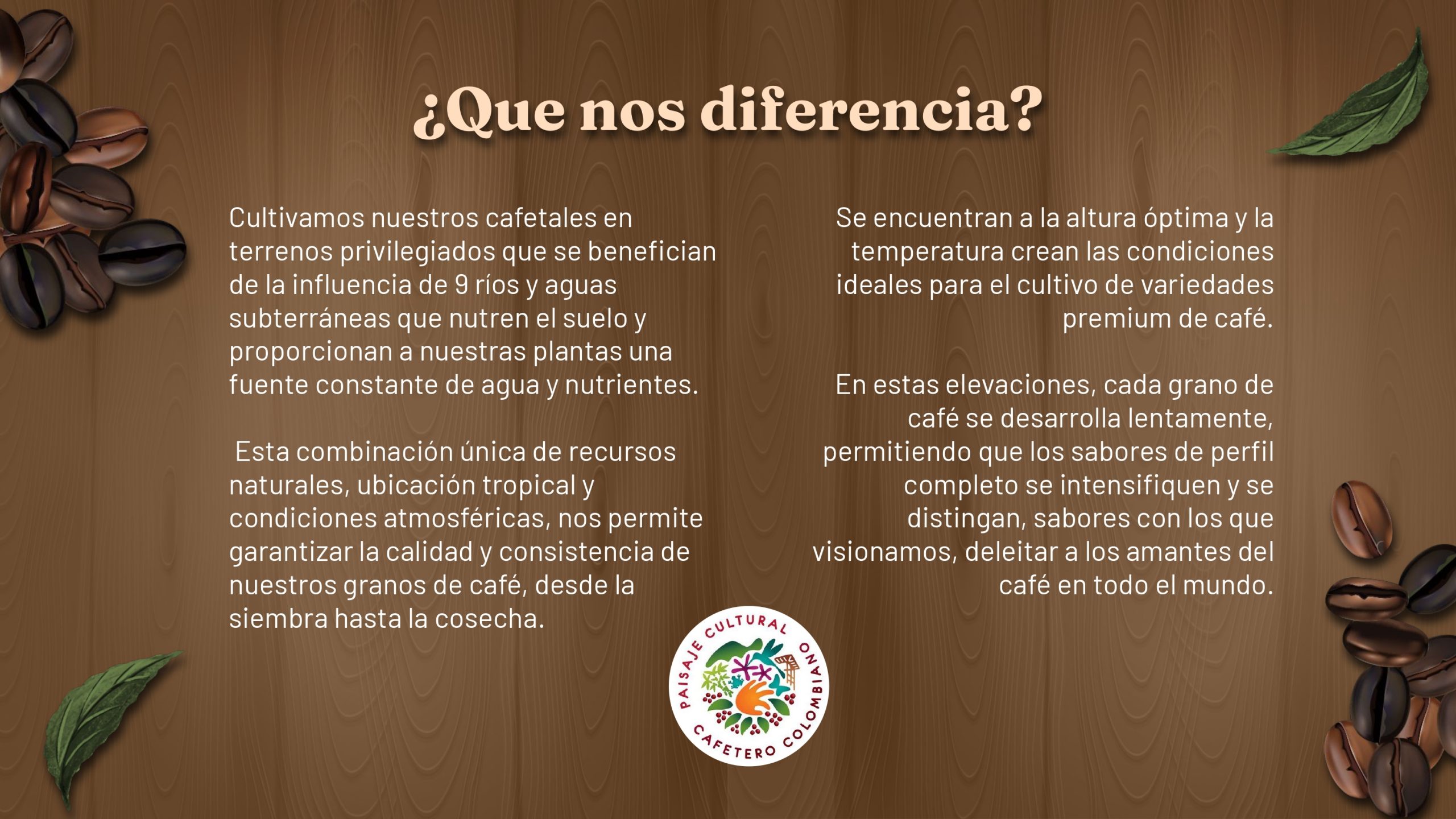 Goldmez - presentación FINAL_page-0003