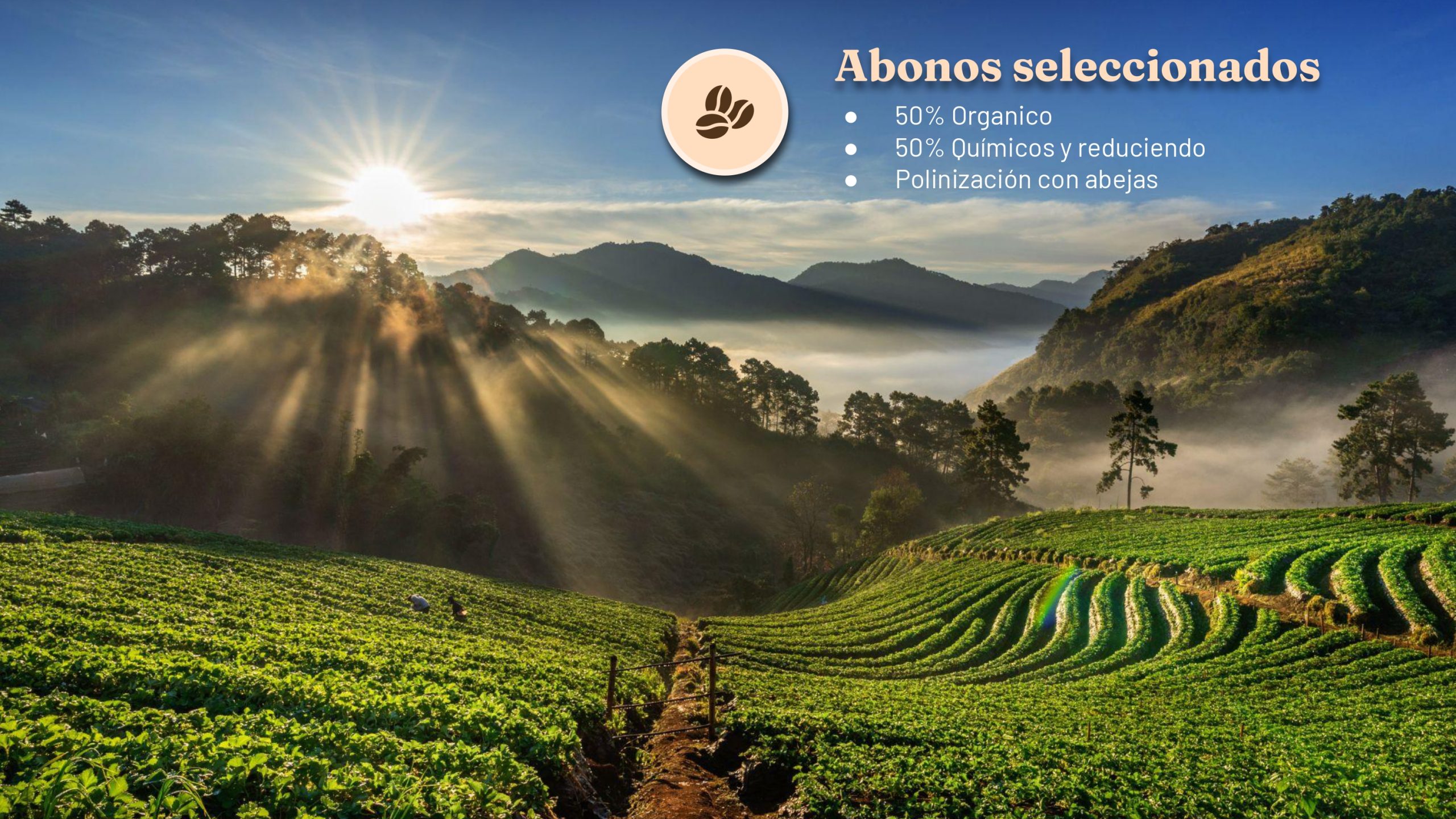 Goldmez - presentación FINAL_page-0004