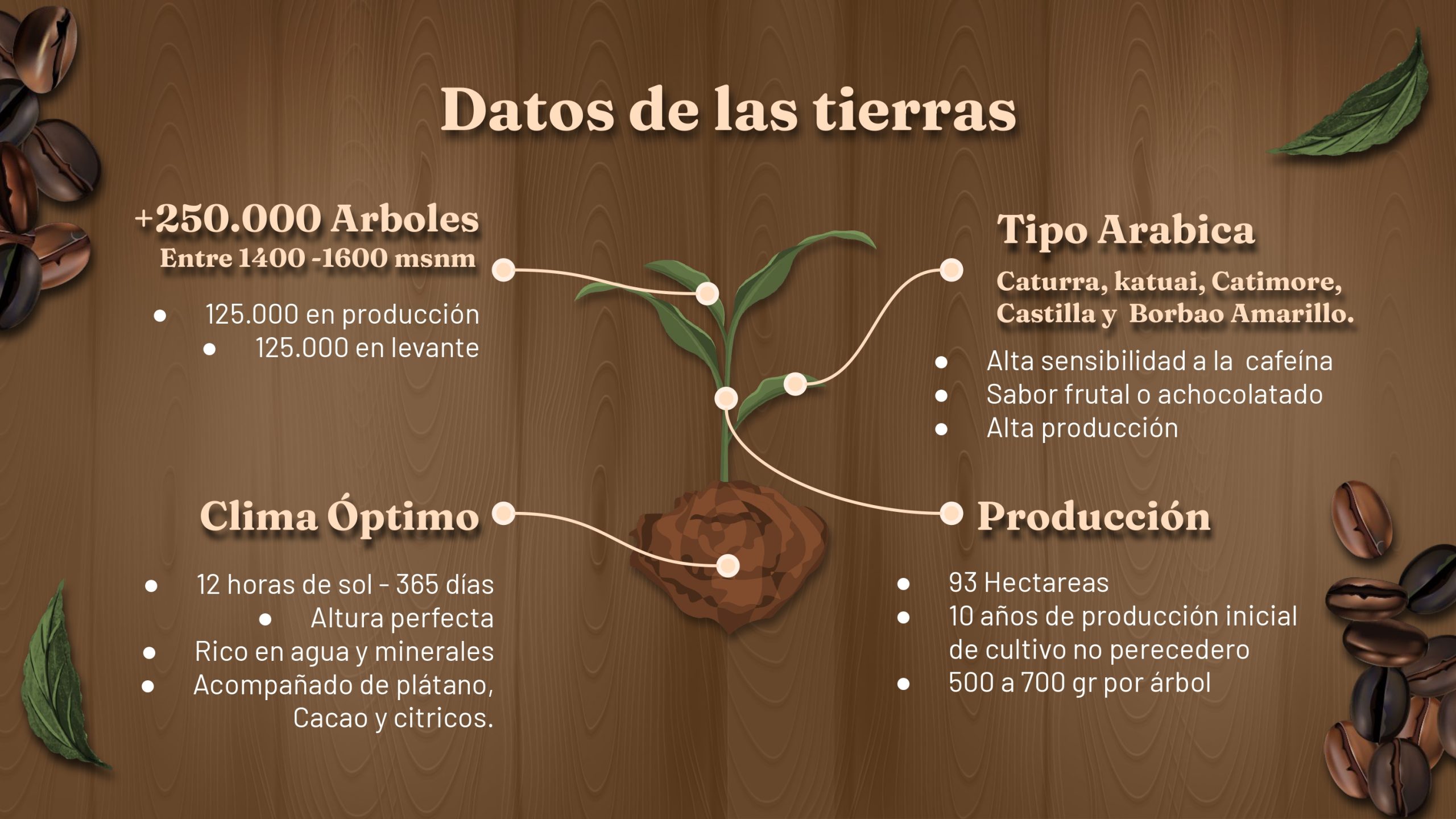 Goldmez - presentación FINAL_page-0005