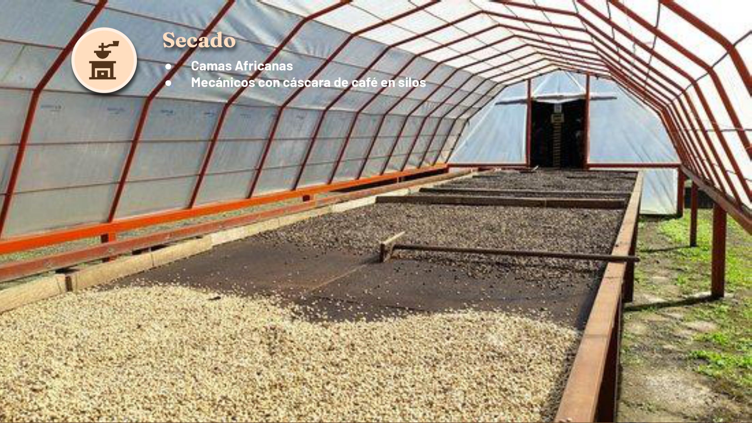 Goldmez - presentación FINAL_page-0006