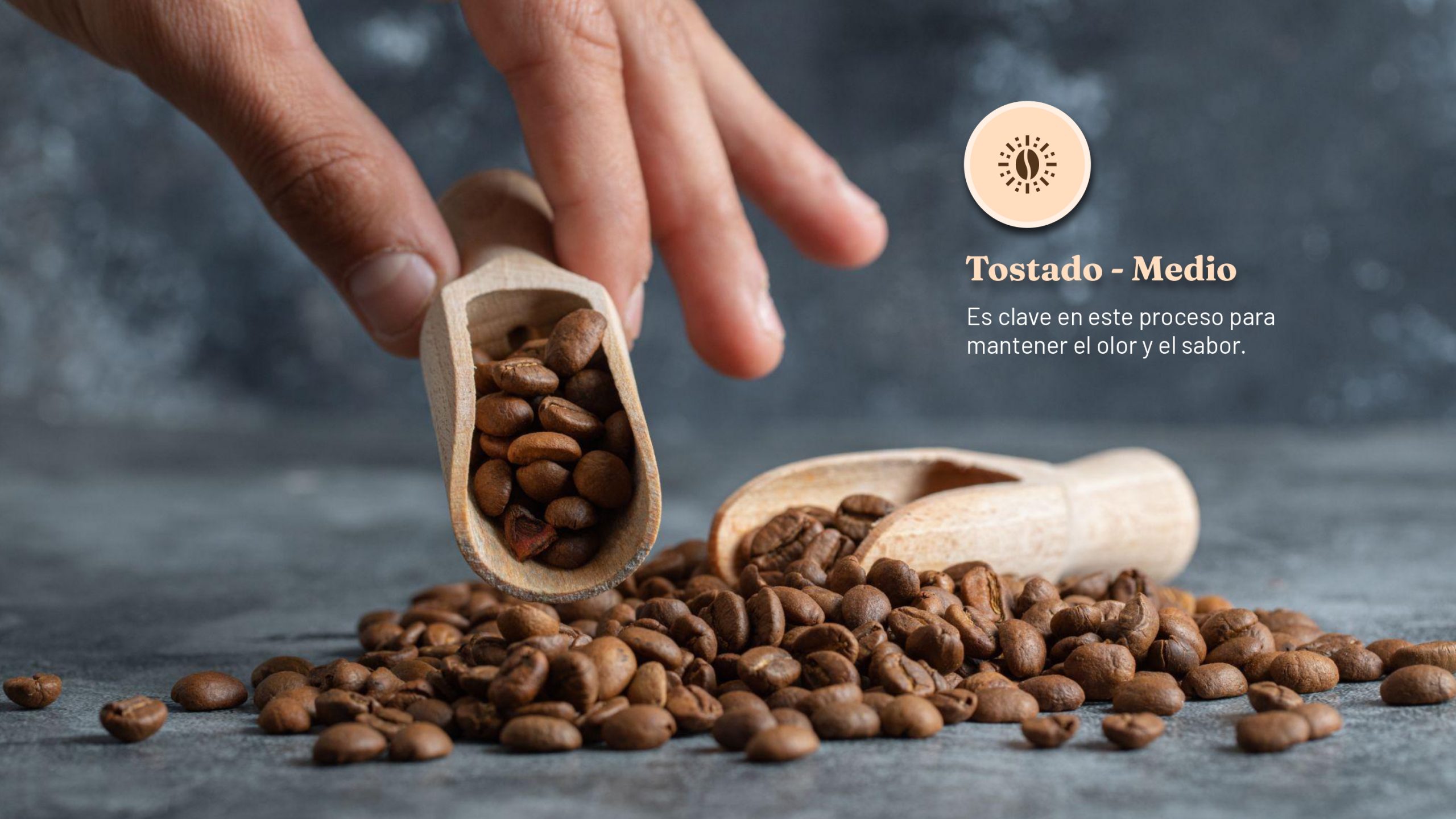 Goldmez - presentación FINAL_page-0007