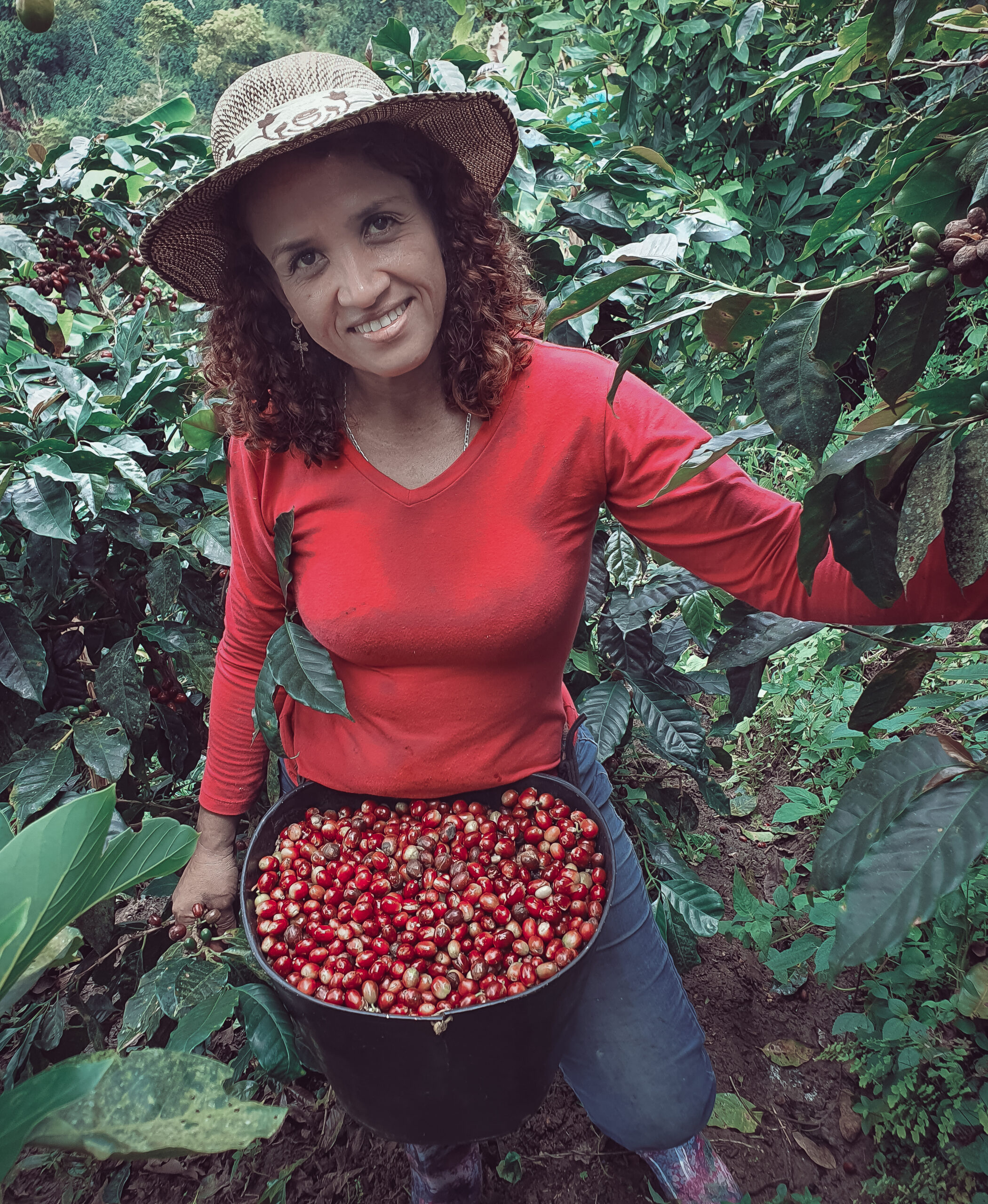 Fundacion Goldmez 3 farmer woman picking her colombian coffee farm scaled