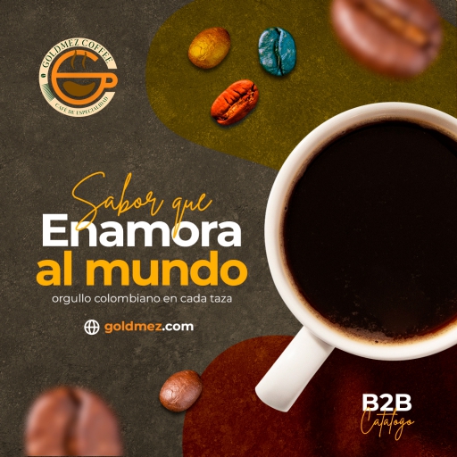 montaje pòrtafolio goldmez_page-0001