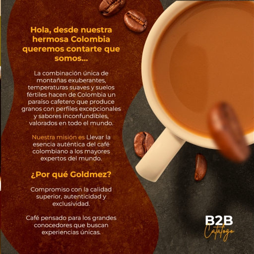 montaje pòrtafolio goldmez_page-0002