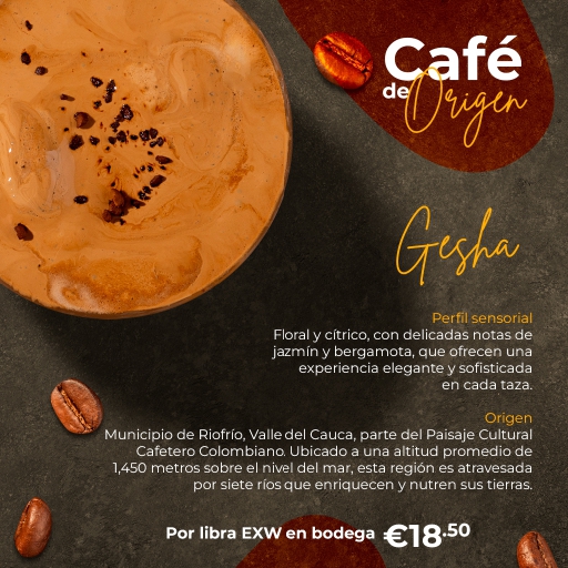 montaje pòrtafolio goldmez_page-0003