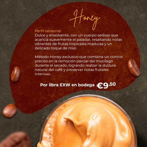 montaje pòrtafolio goldmez_page-0004