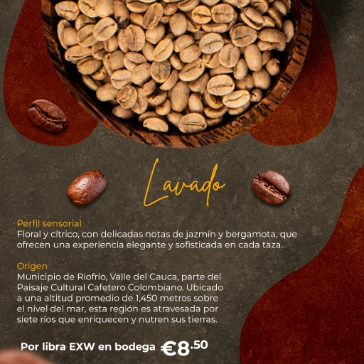 montaje pòrtafolio goldmez_page-0005