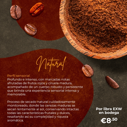 montaje pòrtafolio goldmez_page-0006