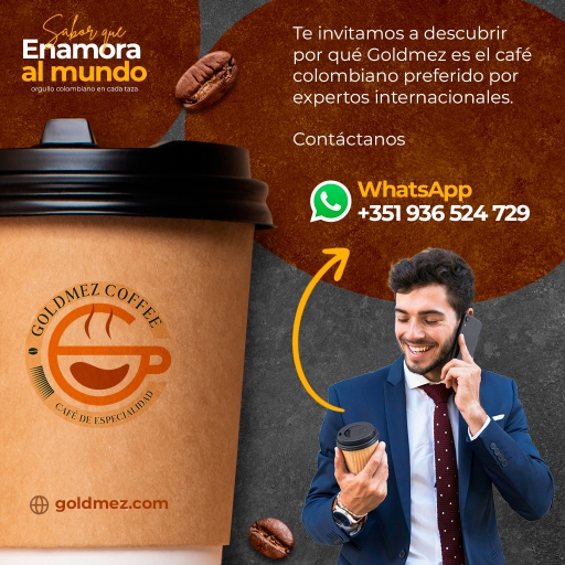 montaje pòrtafolio goldmez_page-0008